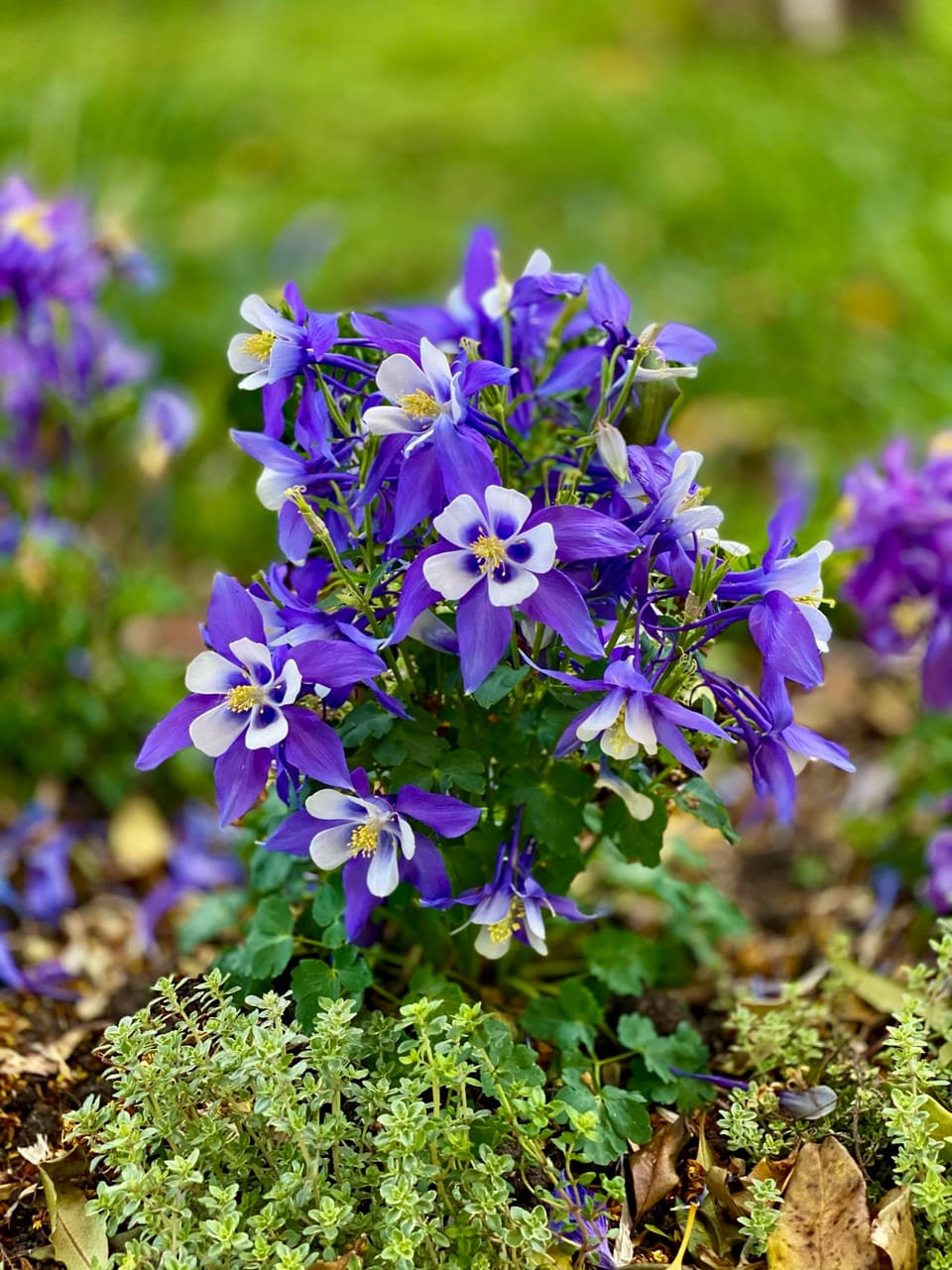 A New Faith: Part 3: Chapter 36