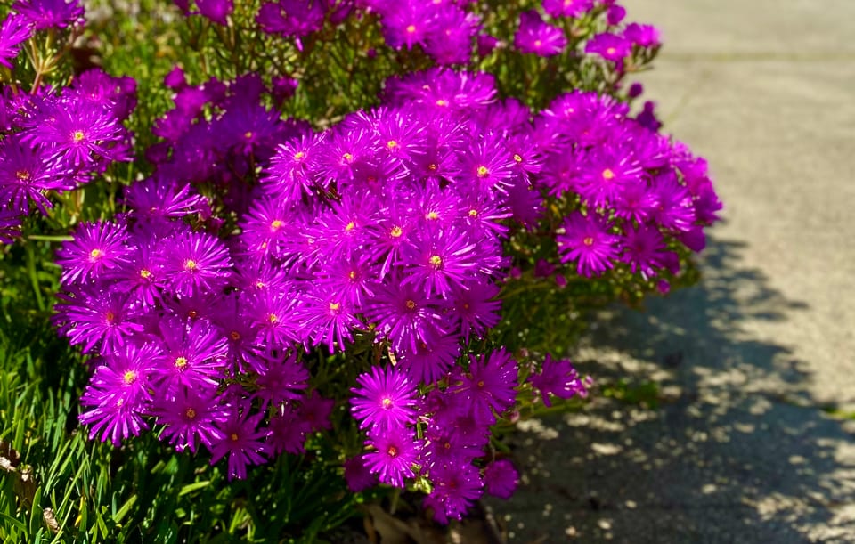 A New Faith: Part 1: Chapter 13