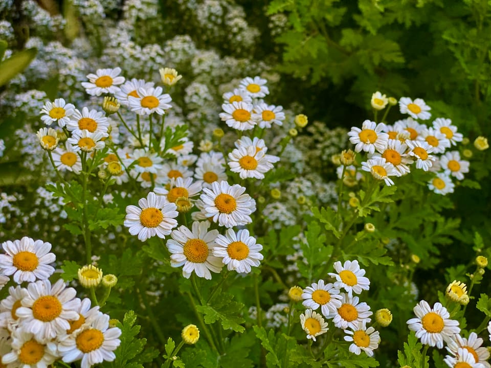 A New Faith: Part 2: Chapter 16