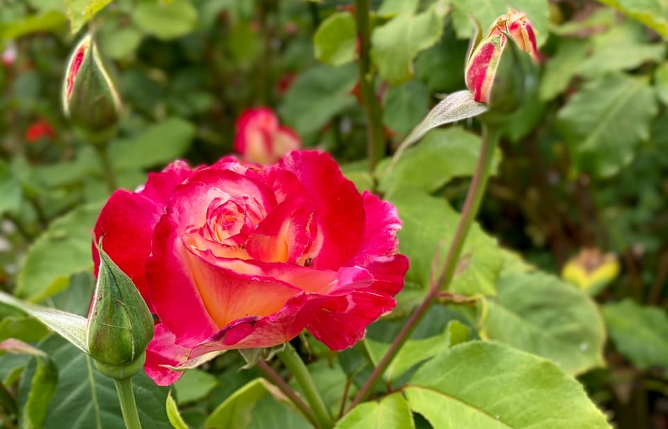 A New Faith: Part 2: Chapter 18