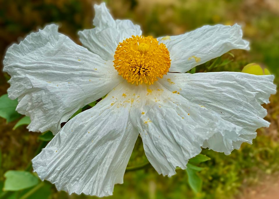 A New Faith: Part 2: Chapter 19