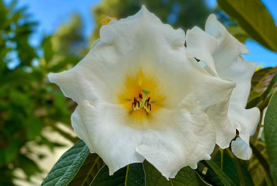 A New Faith: Part 2: Chapter 22