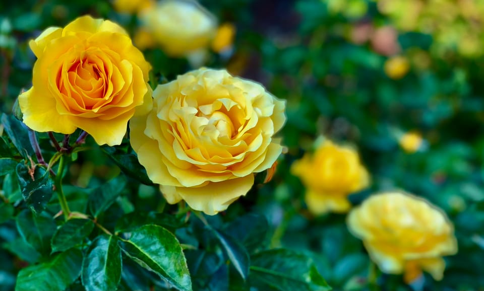 A New Faith: Part 1: Chapter 8