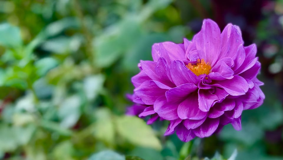 A New Faith: Part 1: Chapter 9