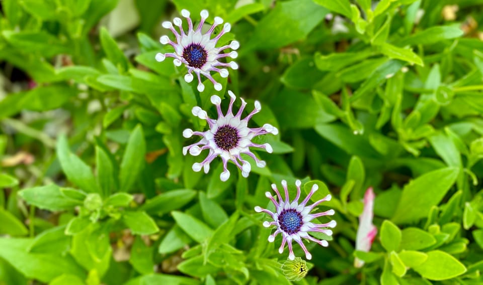 A New Faith: Part 2: Chapter 25