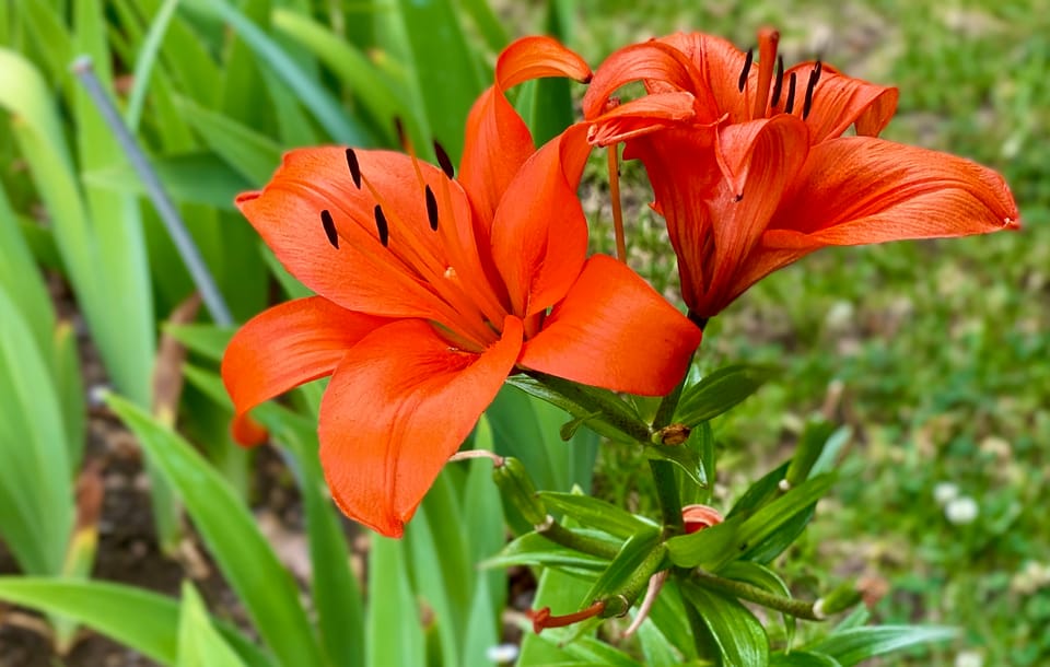 A New Faith: Part 2: Chapter 21