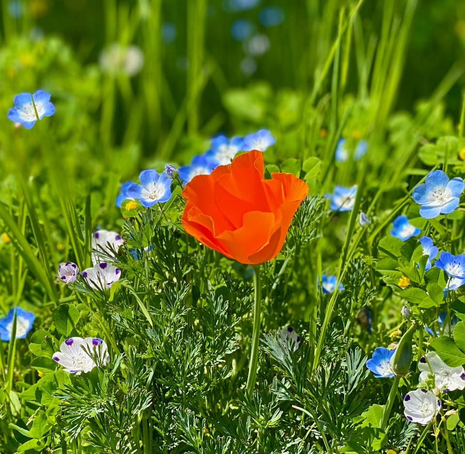 A New Faith: Part 3: Chapter 35