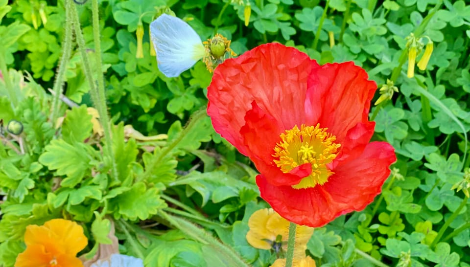 A New Faith: Part 1: Chapter 6