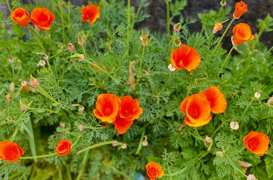 A New Faith: Part 1: Chapter 5