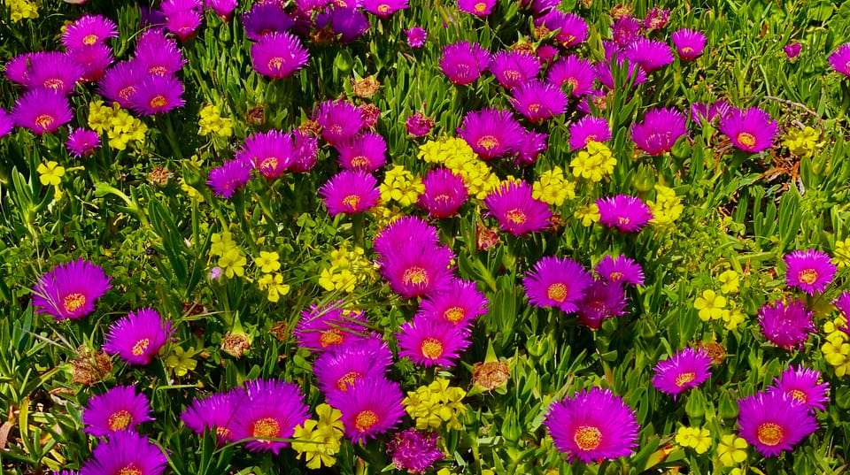 A New Faith: Part 1: Chapter 4