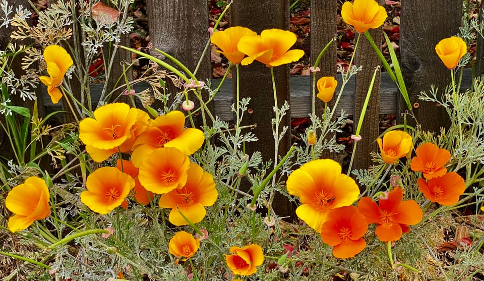 A New Faith: Part 1: Chapter 3